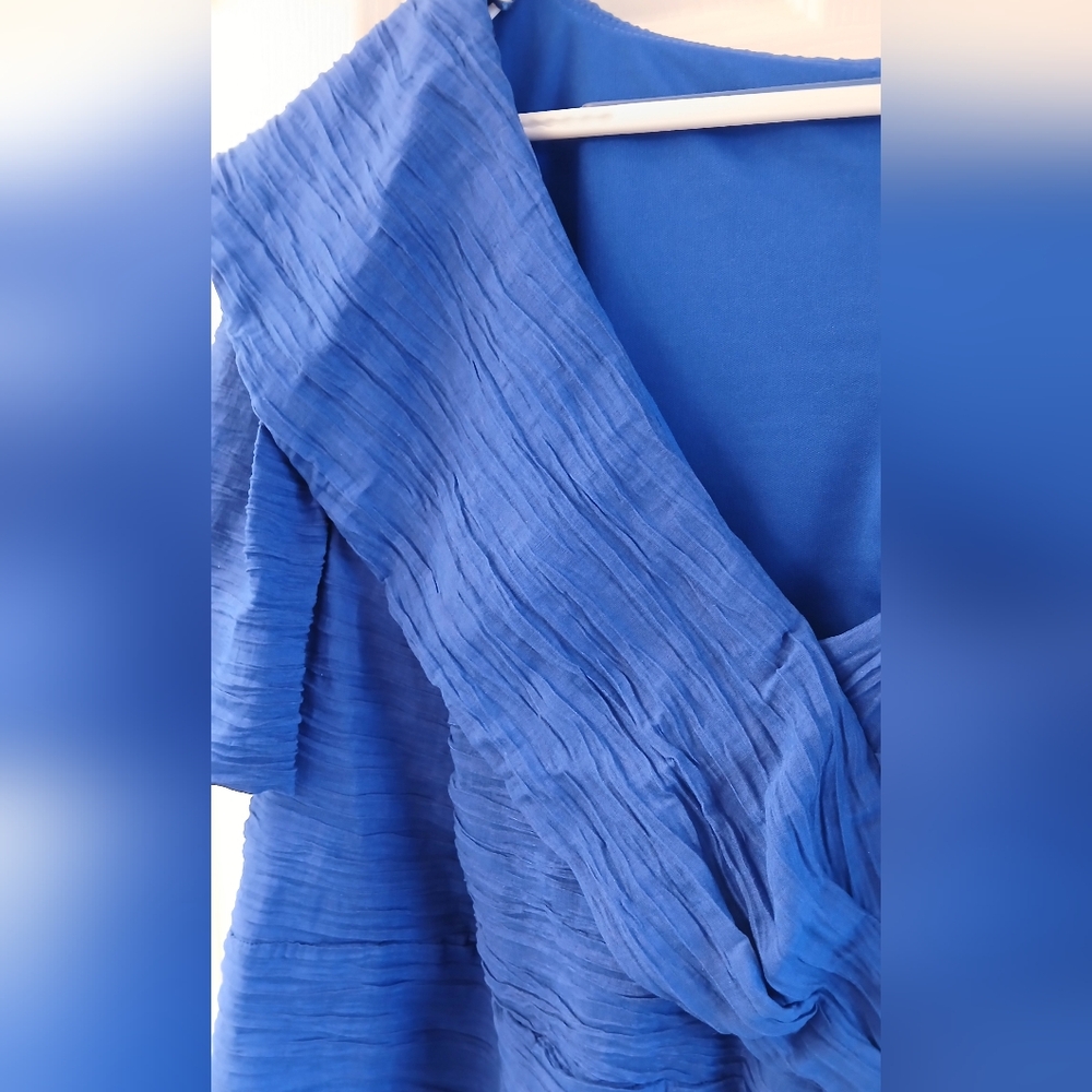 Alex Evenings Royal Blue Textured Short Sleeve Blouse with Brooch Accent - Picture 7 of 11